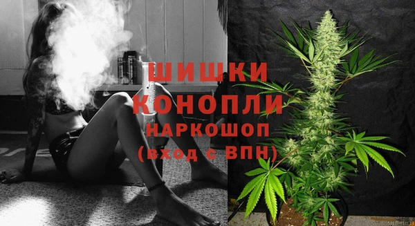 дурь Слюдянка